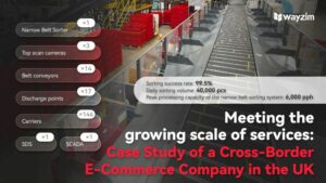 Meeting the Growing Scale of Services : Case Study of a Cross-border E-commerce Company in the UK